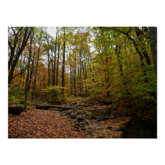 Fall Creek at Laurel Hill State Park Pennsylvania Poster (Front)