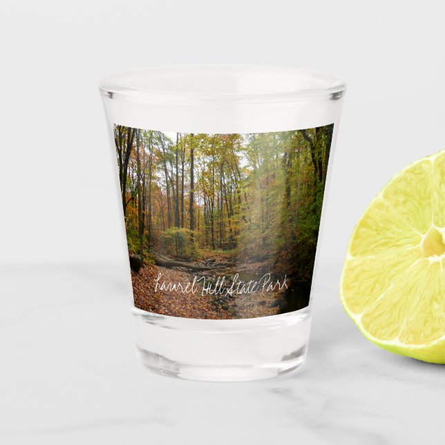 Fall Creek at Laurel Hill State Park Pennsylvania Shot Glass (Front)