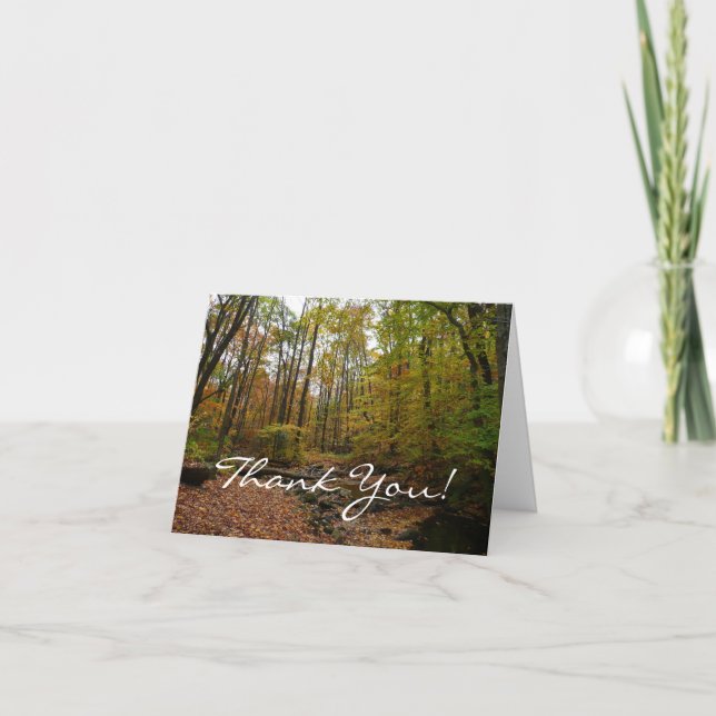 Fall Creek at Laurel Hill State Park Pennsylvania Thank You Card (Front)