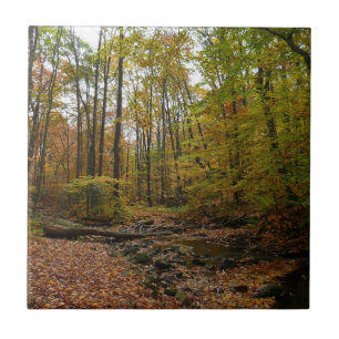 Fall Creek at Laurel Hill State Park Pennsylvania Tile