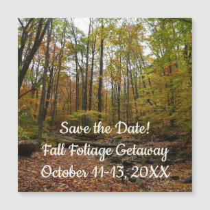 Fall Creek at Laurel Hill State Park Save the Date