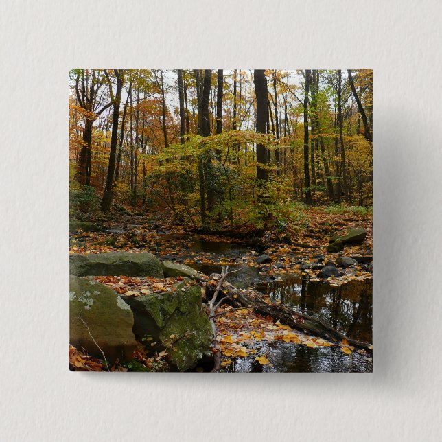 Fall Creek with Reflection at Laurel Hill Park 2 Inch Square Button (Front)