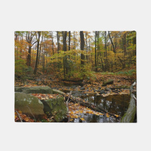 Fall Creek with Reflection at Laurel Hill Park Doormat
