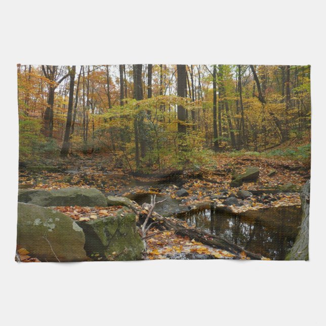 Fall Creek with Reflection at Laurel Hill Park Kitchen Towel (Horizontal)
