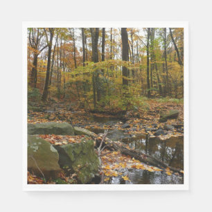 Fall Creek with Reflection at Laurel Hill Park Napkin