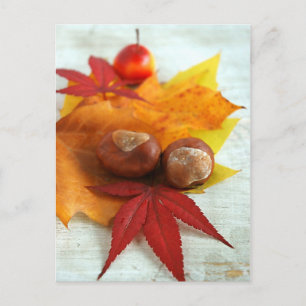 Fall Feelings Postcard