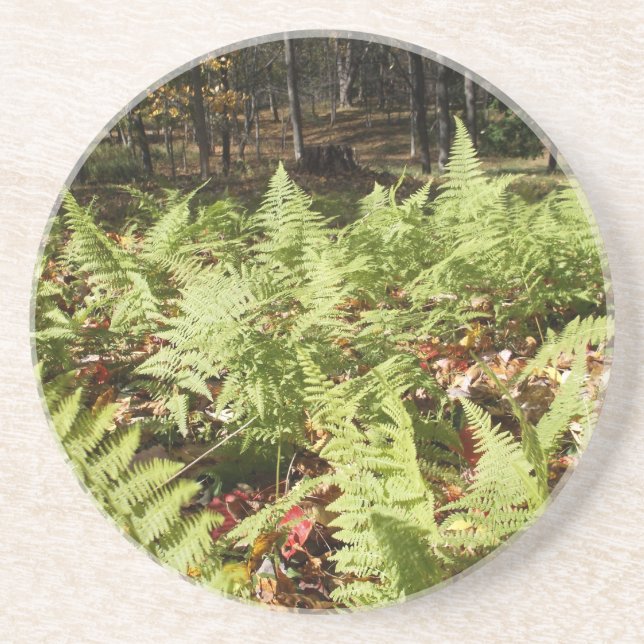 Fall Ferns Coaster (Front)