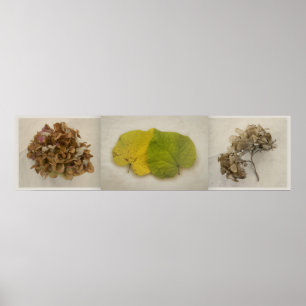 fall flowers tryptich poster