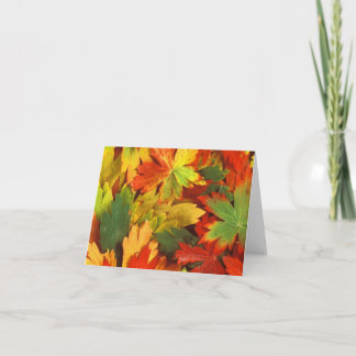 Fall Foiliage Note Card