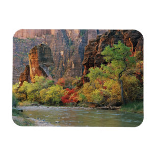 Fall foliage along Virgin River near gateway to Magnet