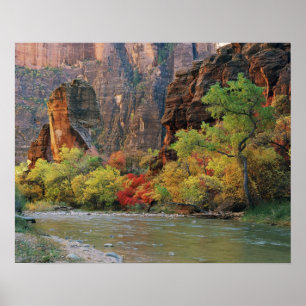 Fall foliage along Virgin River near gateway to Poster