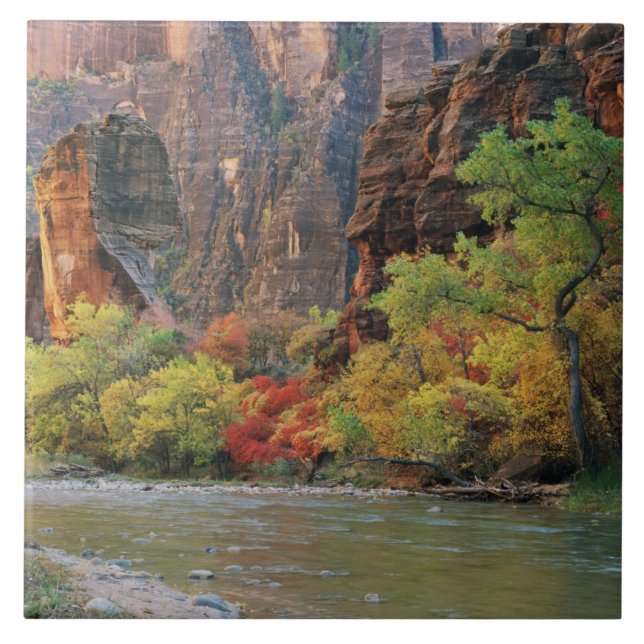 Fall foliage along Virgin River near gateway to Tile (Front)