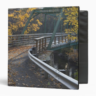 Fall foliage and a bridge over the Millers Binder