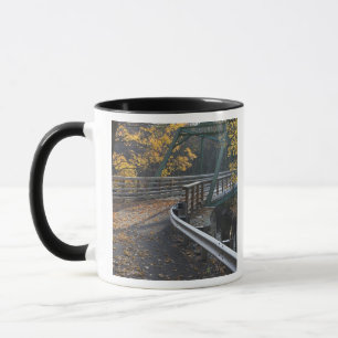 Fall foliage and a bridge over the Millers Mug