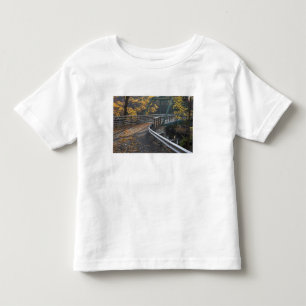 Fall foliage and a bridge over the Millers Toddler T-shirt