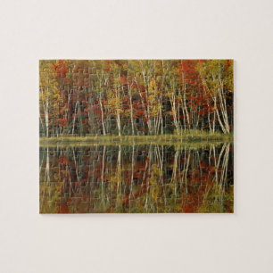 Fall Foliage and Birch Reflections; Hiawatha Jigsaw Puzzle