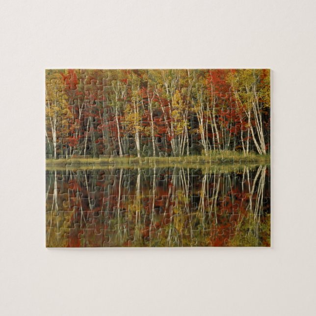 Fall Foliage and Birch Reflections; Hiawatha Jigsaw Puzzle (Horizontal)