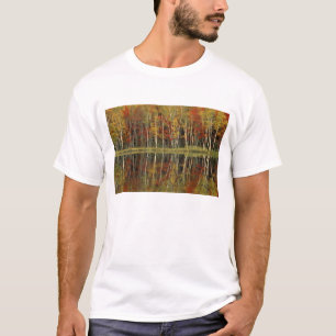 Fall Foliage and Birch Reflections; Hiawatha T-Shirt