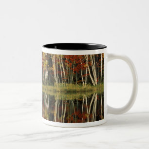 Fall Foliage and Birch Reflections; Hiawatha Two-Tone Coffee Mug