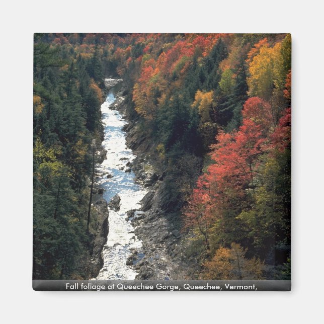 Fall foliage at Queechee Gorge, Queechee, Vermont, Magnet (Front)