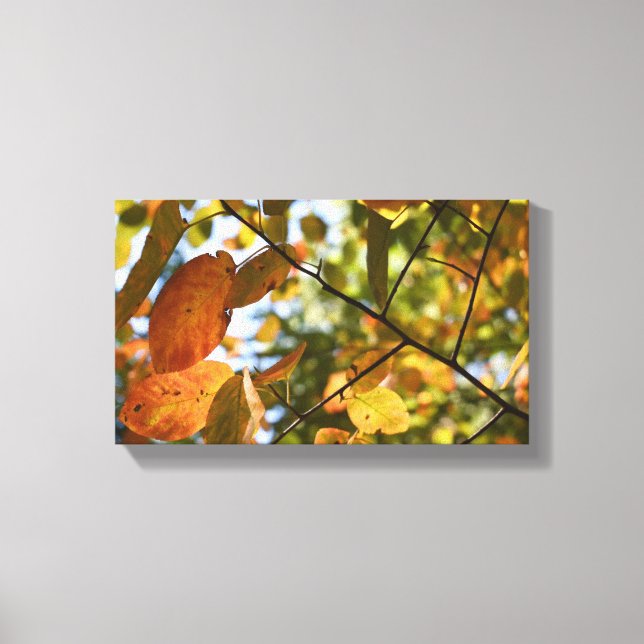 Fall Foliage Autumn Leaves Nature Tree Photography Canvas Print (Front)