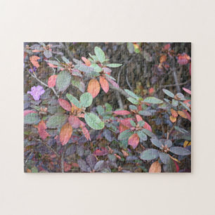 Fall Foliage Autumn Leaves Nature Tree Photography Jigsaw Puzzle