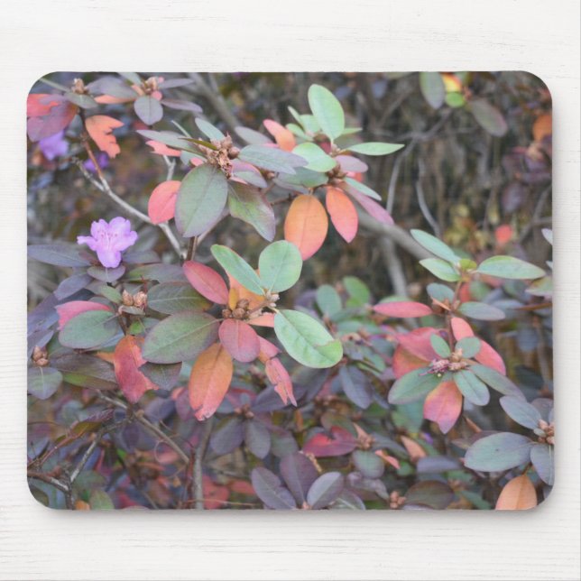 Fall Foliage Autumn Leaves Nature Tree Photography Mouse Pad (Front)