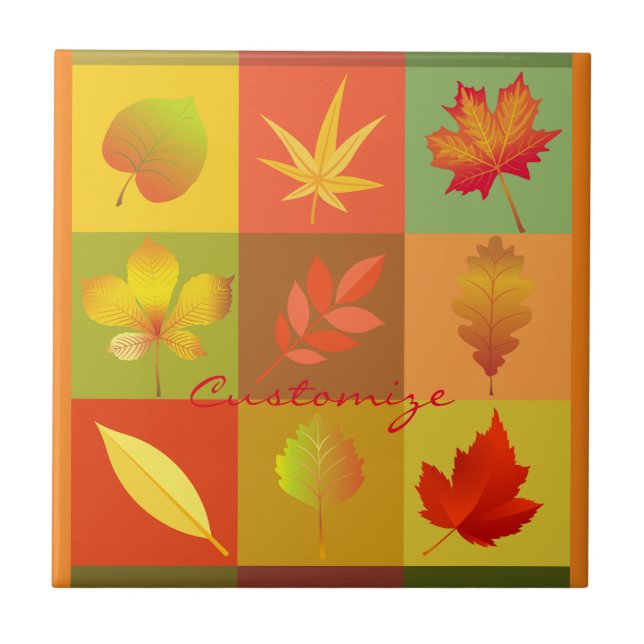Fall Foliage Autumn Leaves Thunder_Cove Tile (Front)