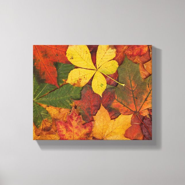 Fall Foliage Canvas Print (Front)