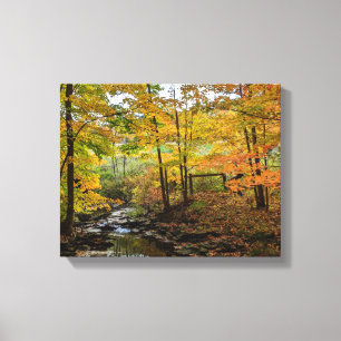 Fall Foliage Canvas Print