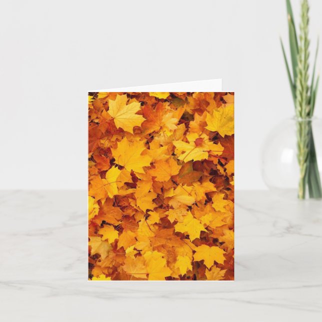 Fall Foliage Card (Front)