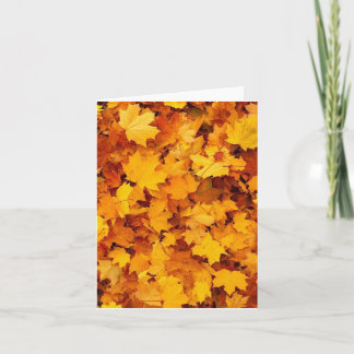 Fall Foliage Card