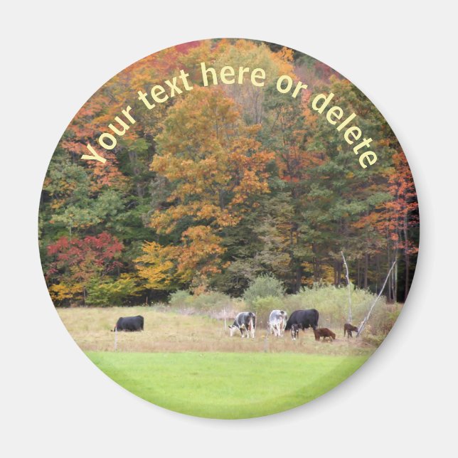 Fall Foliage Cows Field Nature Personalized Magnet (Front)