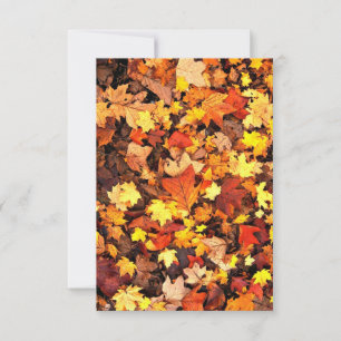 Fall Foliage Greeting Card
