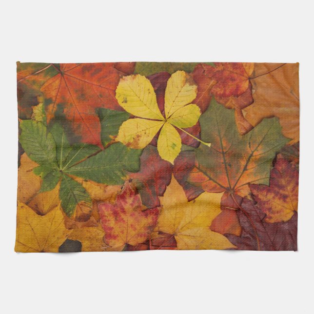 Fall Foliage Kitchen Towel (Horizontal)