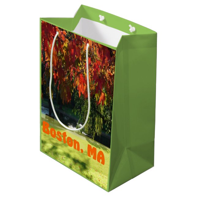 Fall Foliage of Boston Medium Gift Bag (Back Angled)