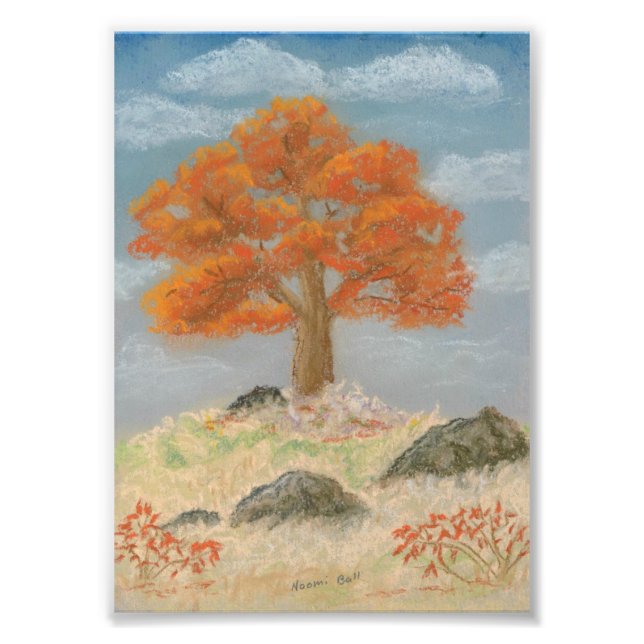 Fall Foliage Photo Print (Front)