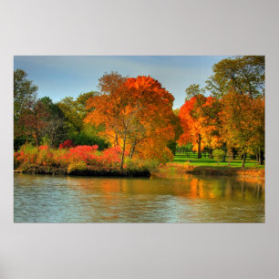 Fall Foliage Poster