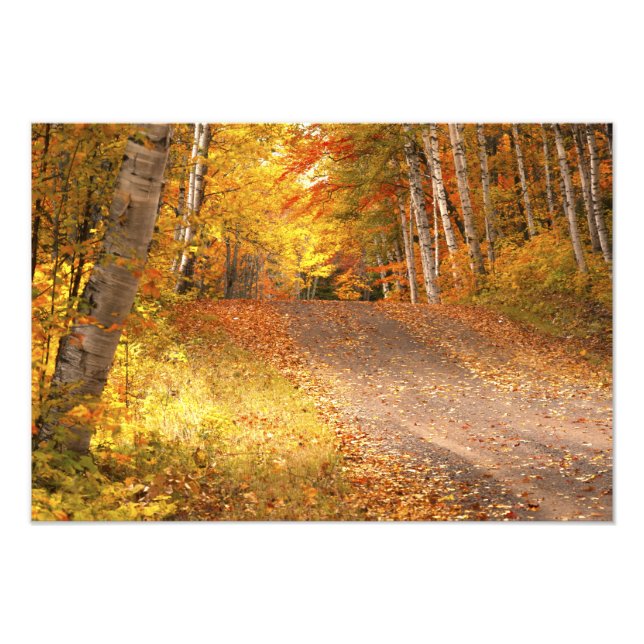 Fall Foliage Rural Road U.P. Michigan Photographie (Devant)