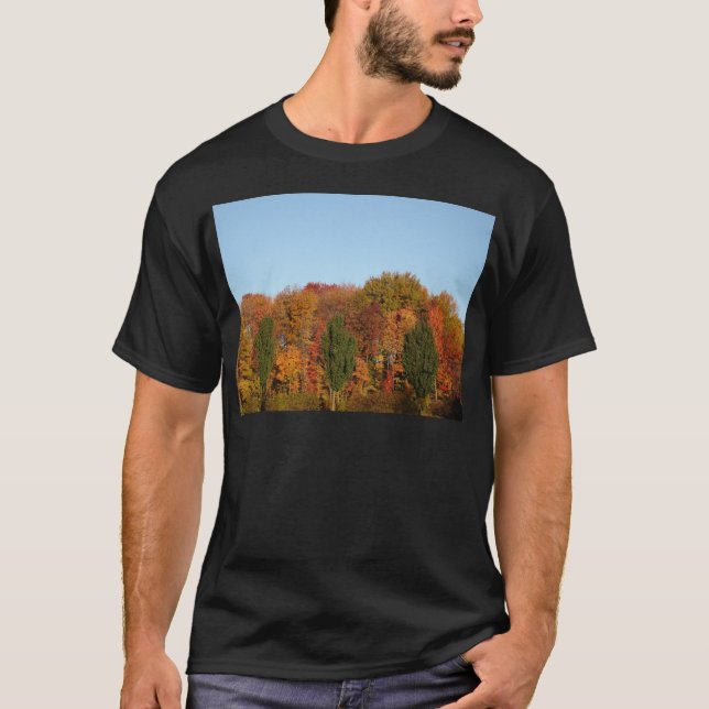 Fall Foliage T-Shirt (Front)