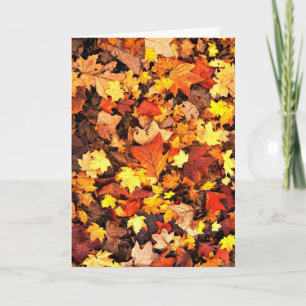 Fall foliage, the Colours of Autumn Card