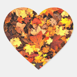 Fall foliage, the Colours of Autumn Heart Sticker