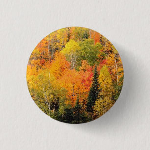 Fall Foliage Valley 1 Inch Round Button