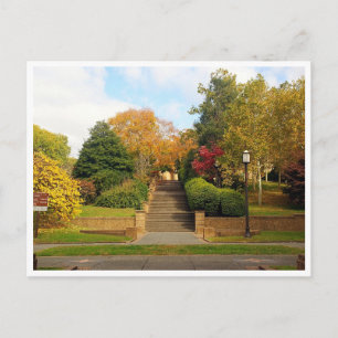 Fall Foliage Washington, D.C. Postcard