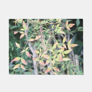 Fall For You Door Mat