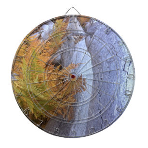 Fall Forest Dartboard