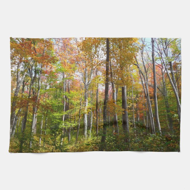 Fall Forest I Autumn Landscape Photography Kitchen Towel (Horizontal)