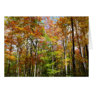 Fall Forest II Autumn Landscape Photography