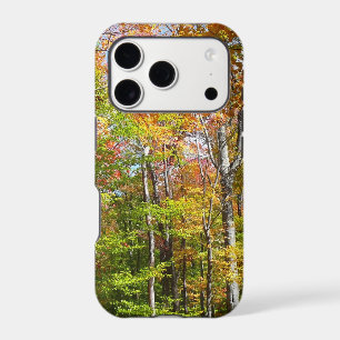 Fall Forest II Autumn Landscape Photography