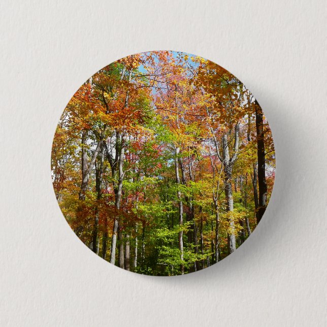 Fall Forest II Autumn Landscape Photography 2 Inch Round Button (Front)